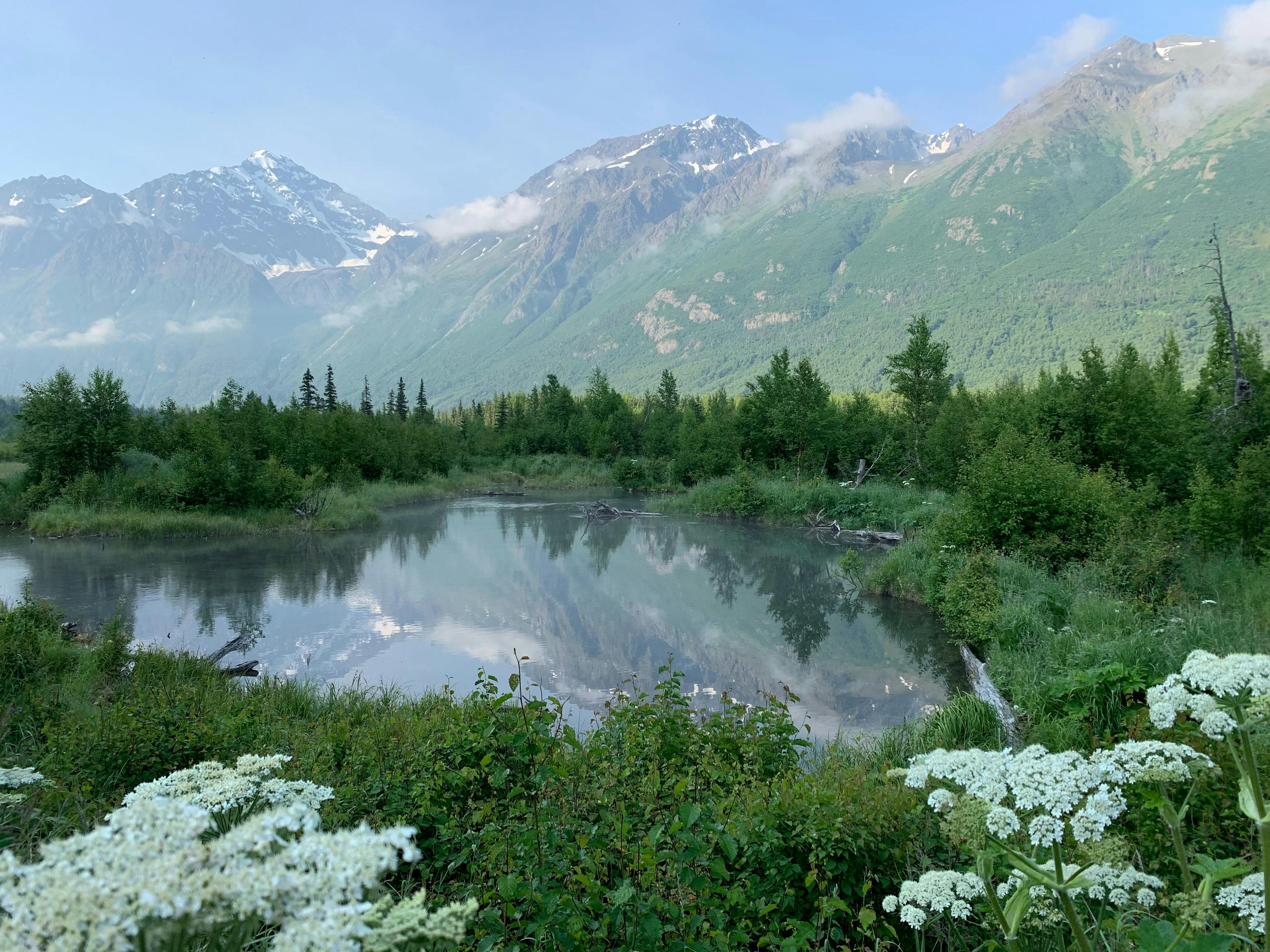 LetsQuip_Blog_Alaska_RV_adventure_panorama.jpg