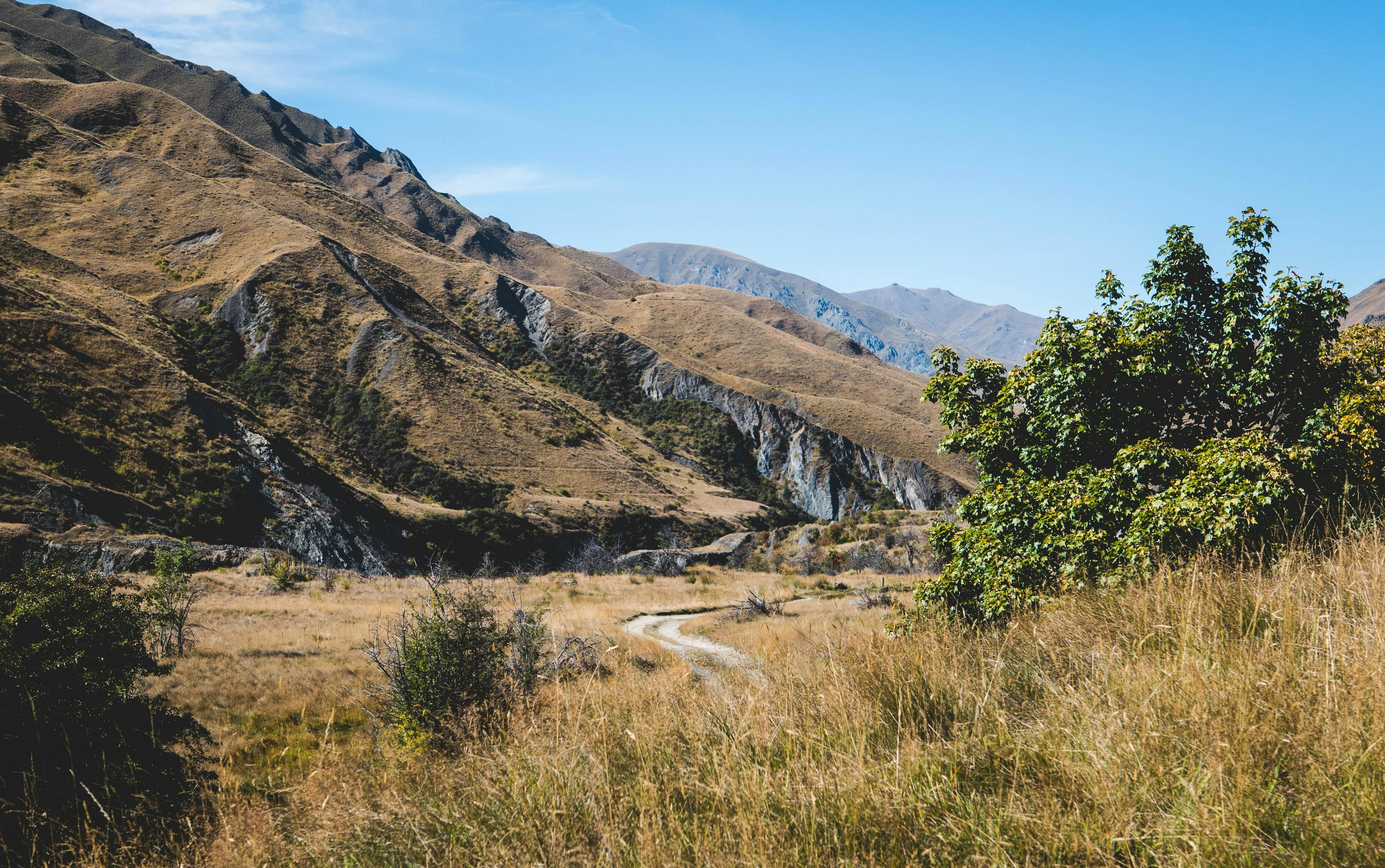 LetsQuip_Blog_Otago_trail_NewZealand_mountain_bike_adventure.jpg