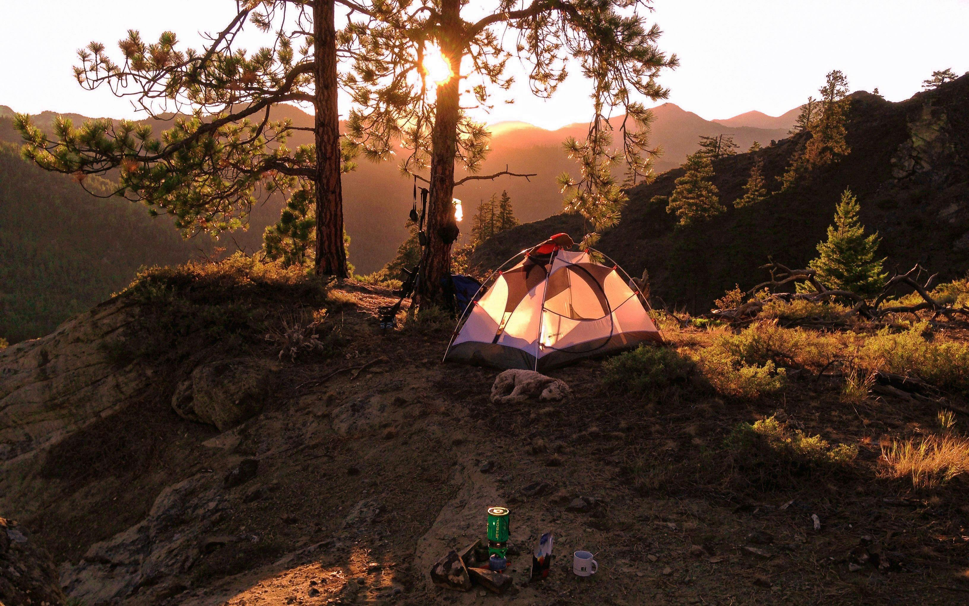 Picture of a rented camping tent in the forrest in sunset